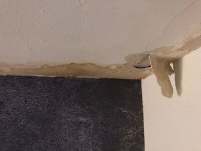 Professional mold remediation services in Atlanta